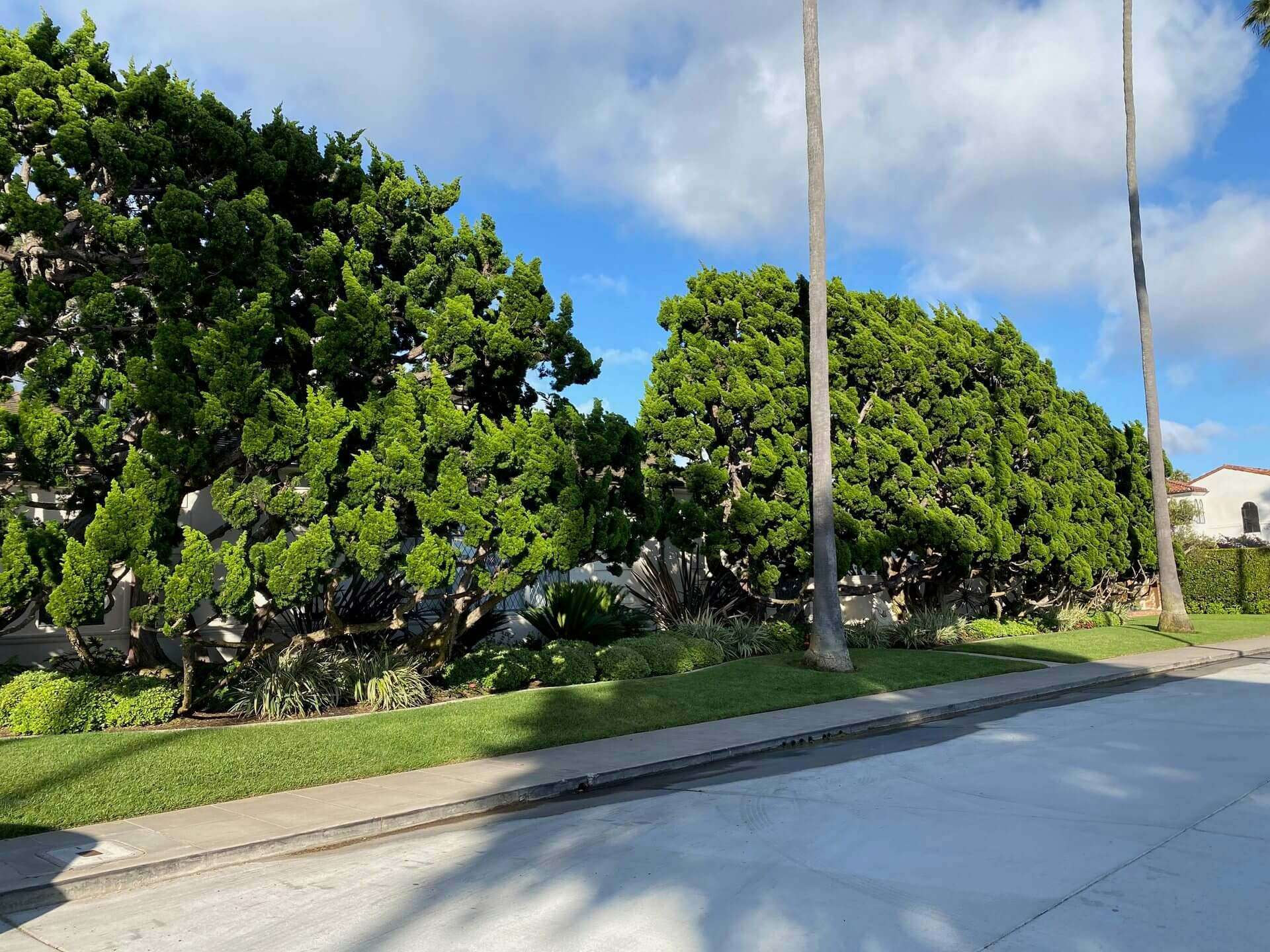 Water-smart irrigation solutions for sustainable landscape maintenance