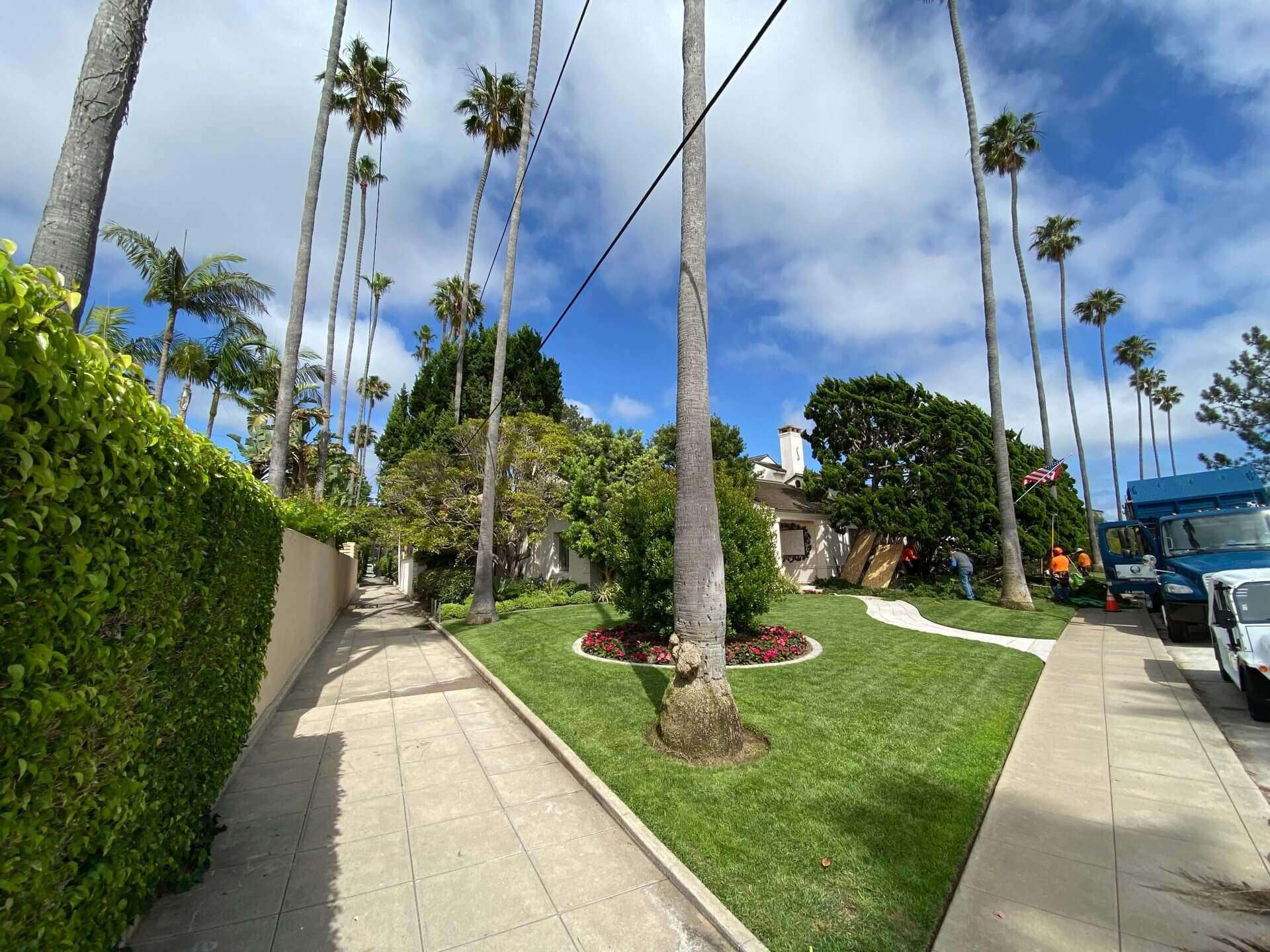 Natural pest control methods reducing reliance on chemical pesticides