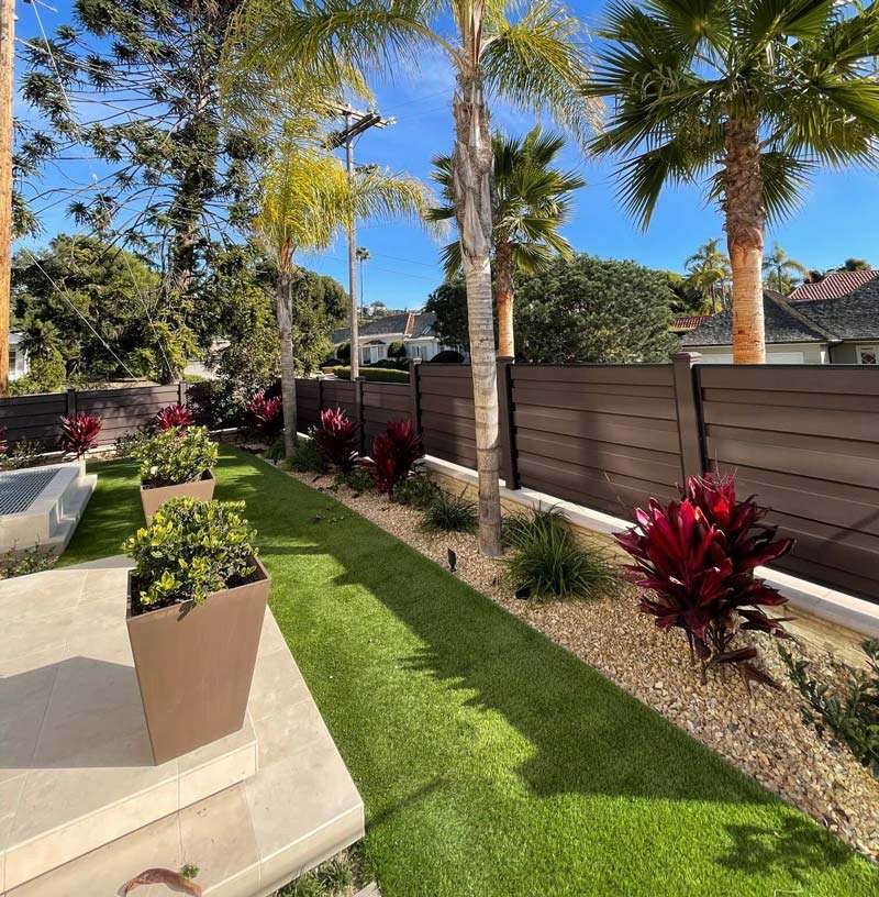 Tree health assessment and treatment for disease prevention