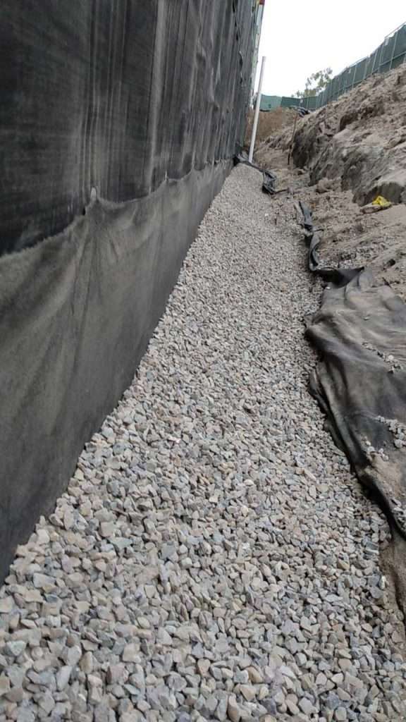 Tree assessment and diagnosis to address health issues and provide appropriate care