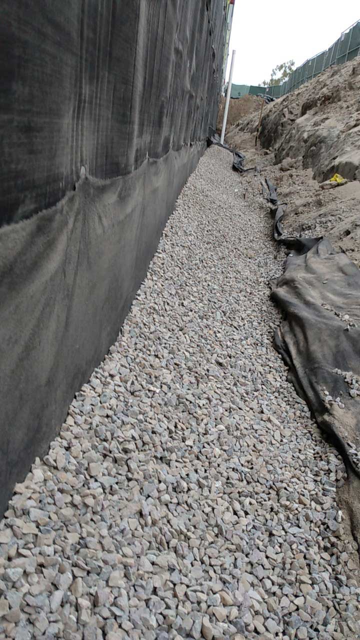 Tree assessment and diagnosis to address health issues and provide appropriate care