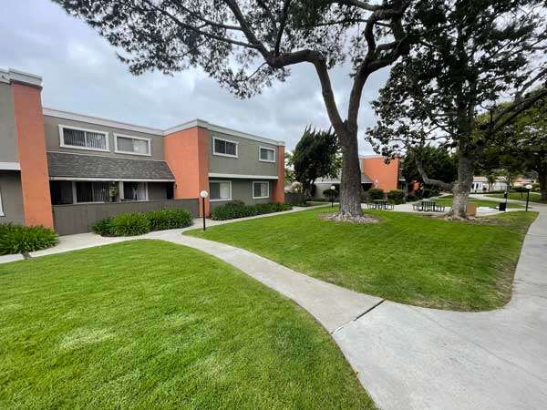 Smart irrigation technologies for precise and automated watering