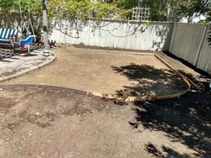 Tree health evaluation and treatment to ensure long-term vitality