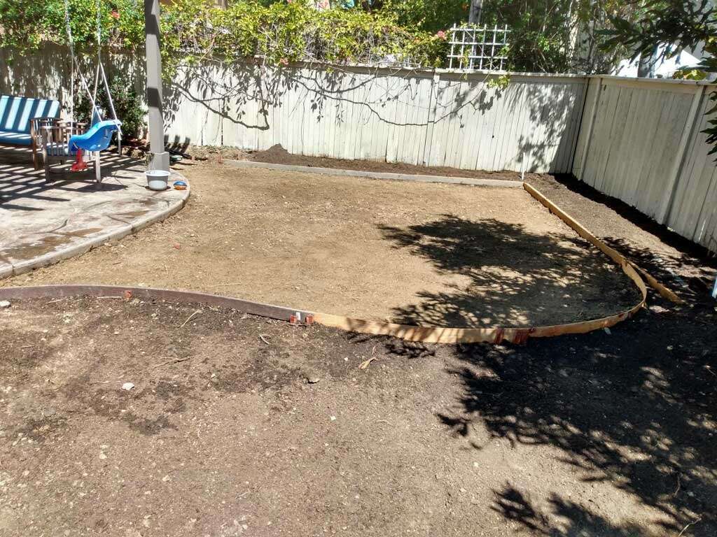 Tree health evaluation and treatment to ensure long-term vitality