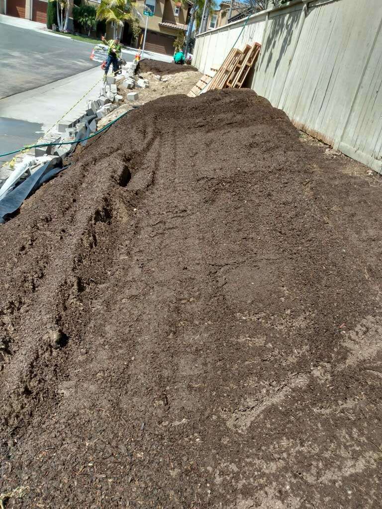 Ongoing landscape care and maintenance for a thriving outdoor environment