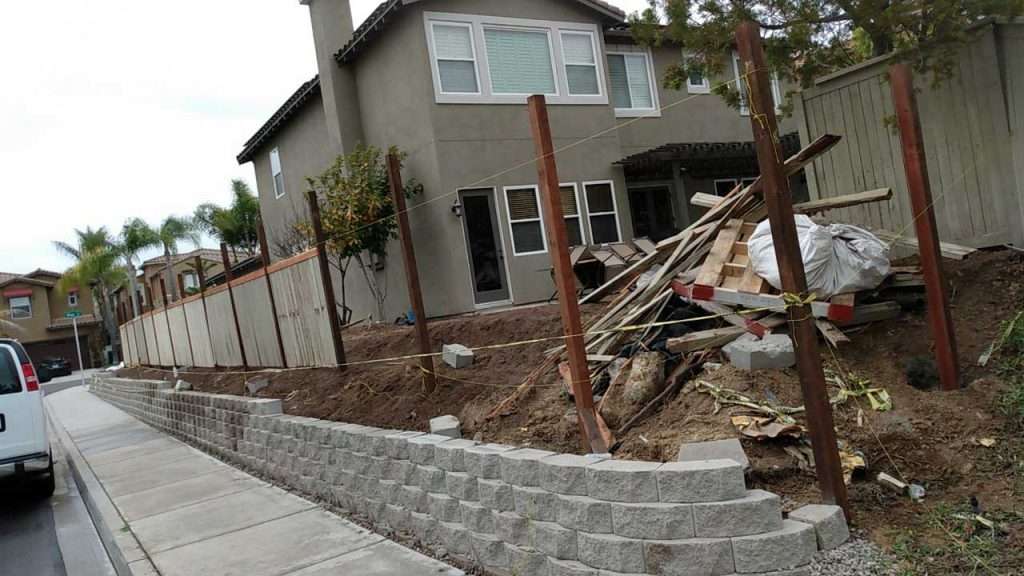 Tree pruning and maintenance to promote healthy growth and structural stability