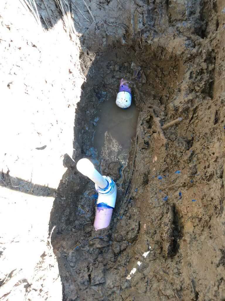 Comprehensive landscape maintenance services for year-round beauty